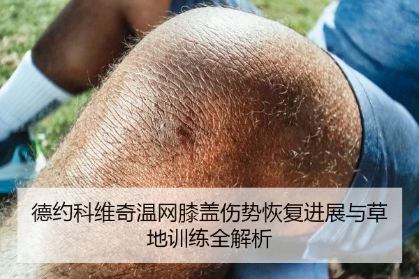 德约科维奇温网膝盖伤势恢复进展与草地训练全解析