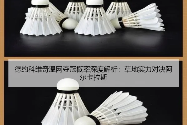 de-yue-ke-wei-qi-wen-wang-duo-guan-gai-lv-shen-du-jie-xi-cao-di-shi-li-dui-jue-a-er-ka-la-si-3-877.jpg