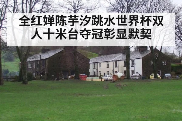 全红婵陈芋汐跳水世界杯双人十米台夺冠彰显默契
