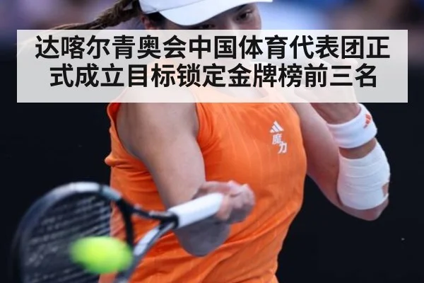 达喀尔青奥会中国体育代表团正式成立目标锁定金牌榜前三名