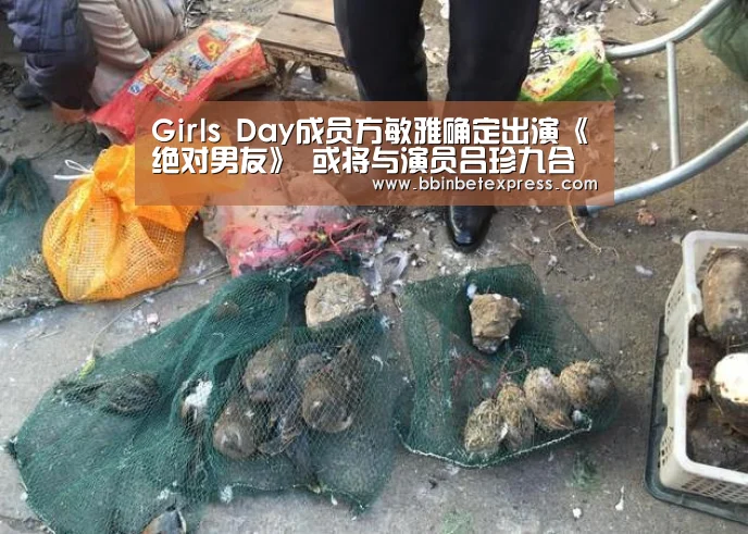 BBIN下载，BBIN真人，BBIN百家乐，BBIN赛事